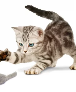 Penn-Plax Purr Pet Bag of Mice Cat Toy, Color Varies -Penn-Plax Store 103731 PT3. SY630 V1595365257