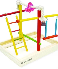 Penn-Plax Parakeet & Small Bird Activity Center -Penn-Plax Store 103769 PT5. SY630 V1644905230