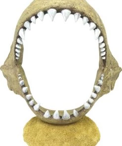 Penn-Plax Shark Jaw Aquarium Ornament