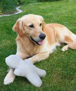 Penn-Plax Comfy Buddy Squeaky Plush Dog Toy -Penn-Plax Store 198325 PT2. SY630 V1595370654