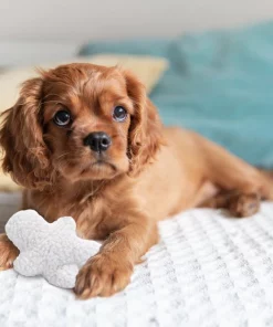 Penn-Plax Comfy Man Squeaky Plush Dog Toy -Penn-Plax Store 198332 PT2. SY630 V1595371303