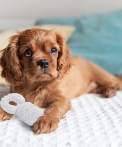 Penn-Plax Comfy Pacifier Squeaky Plush Dog Toy -Penn-Plax Store 198337 PT2. SY630 V1595369776