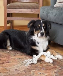 Penn-Plax 2 Knot Tough Dog Rope Toy -Penn-Plax Store 198344 PT2. SY630 V1595370979