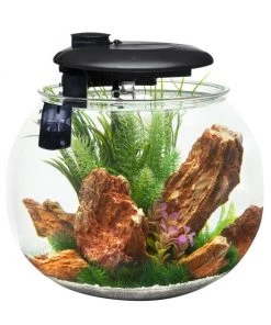Penn-Plax Aquasphere 360⁰ Fish Aquarium