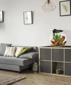 Penn-Plax Aquasphere 360⁰ Fish Aquarium -Penn-Plax Store 239721 PT3. SY630 V1604678810