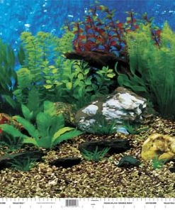 Penn-Plax Shale Wall/Hawaii Blue Double Aquarium Background
