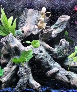 Penn-Plax Driftwood Garden Super Aquarium Decor -Penn-Plax Store 239745 PT5. SY630 V1643914896