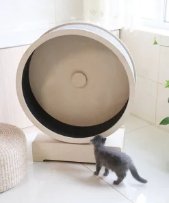 Penn-Plax Spin Kitty Cat Wheel -Penn-Plax Store 251923 PT2. SY630 V1603938419