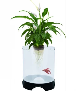 Penn-Plax Large Aquaponic Aquarium Tank, 1.4-gal