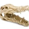 Penn-Plax Gator Skull Aquarium Ornament