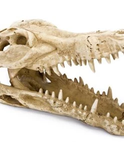 Penn-Plax Gator Skull Aquarium Ornament