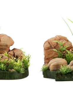 Penn-Plax Natural Tank Decor Aquarium Ornament, 2 count