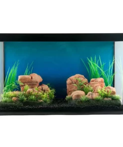 Penn-Plax Natural Tank Decor Aquarium Ornament, 2 count -Penn-Plax Store 303250 PT3. SY630 V1644020215