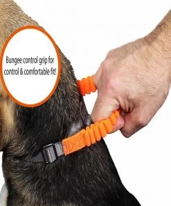 Penn-Plax Bungee Dog Collar, Orange/Black -Penn-Plax Store 318181 PT7. SY630 V1632891971