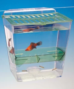 Penn-Plax Breed ‘n’ Show Plastic Tank